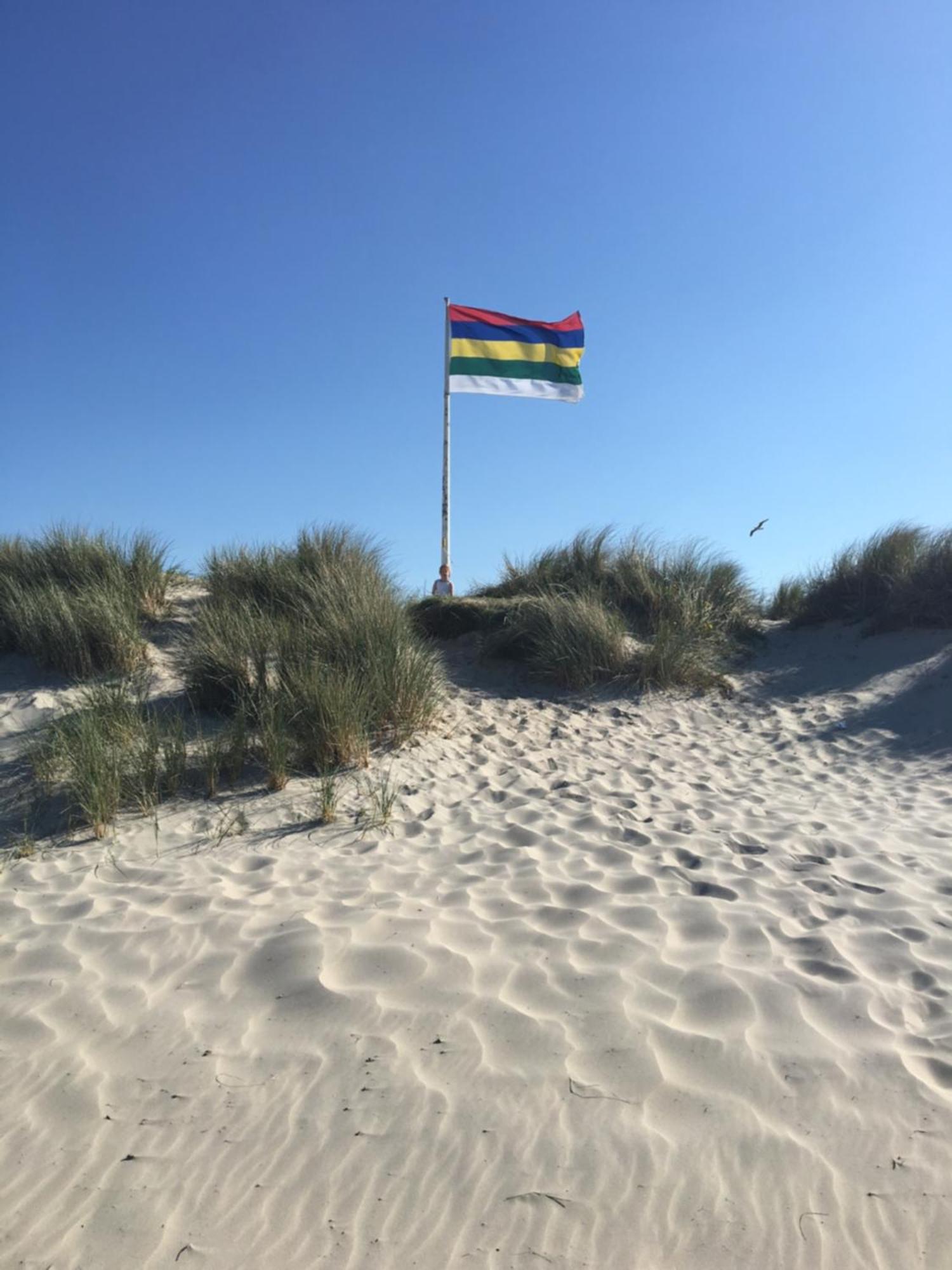 Folkshegeskoalle Schylgeralan Hoorn  المظهر الخارجي الصورة
